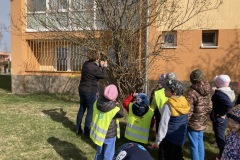 IMG_1760