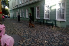 IMG_20190918_091356