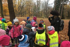 Sportovní dopoledne - 15. 11. 2019