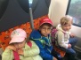Výlet Lesopark Chomutov - 30. 5. 2018 (2. část)