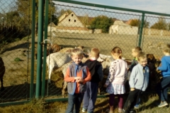 IMG_20181012_105107
