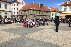 IMG_2503